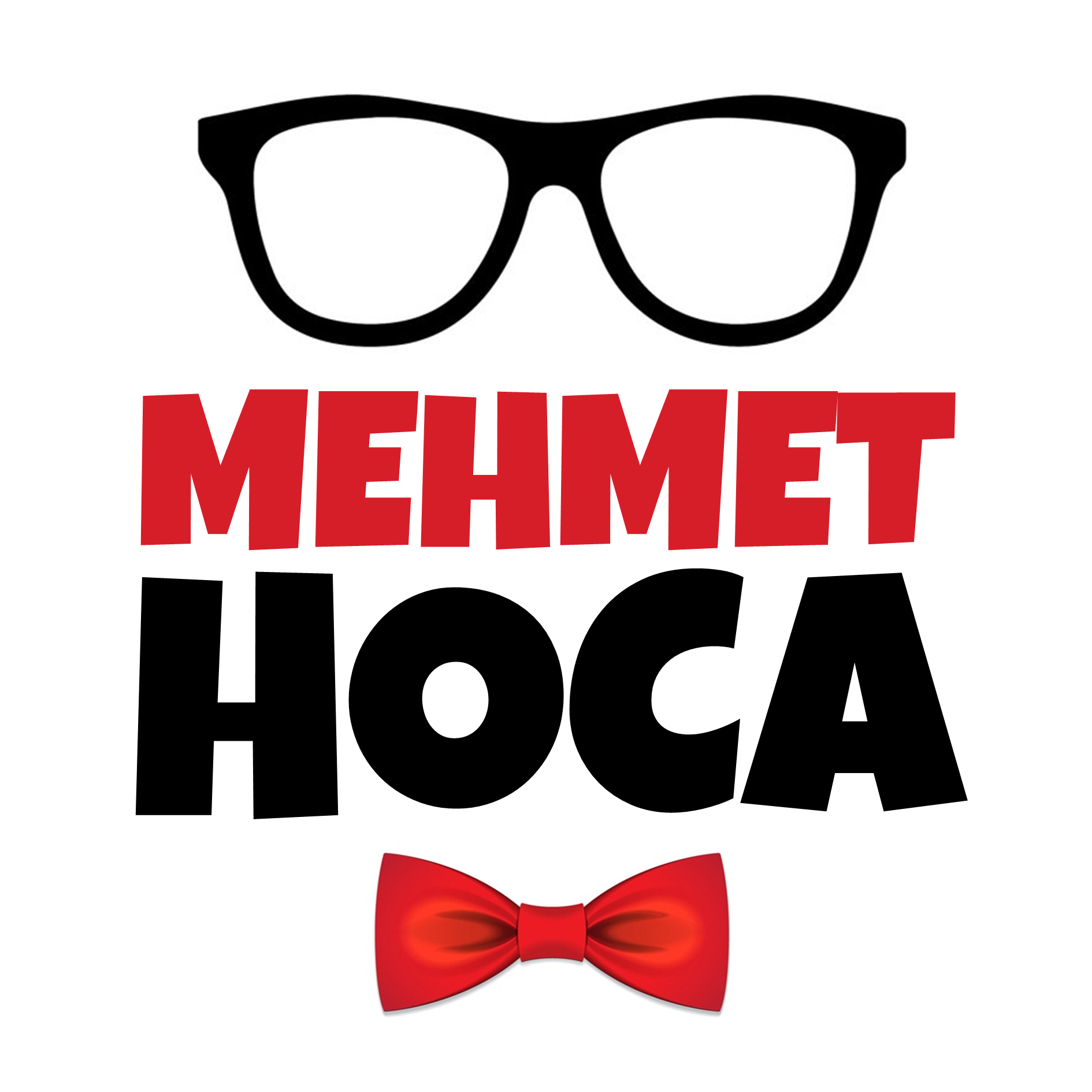 Mehmet Hocanız logosu