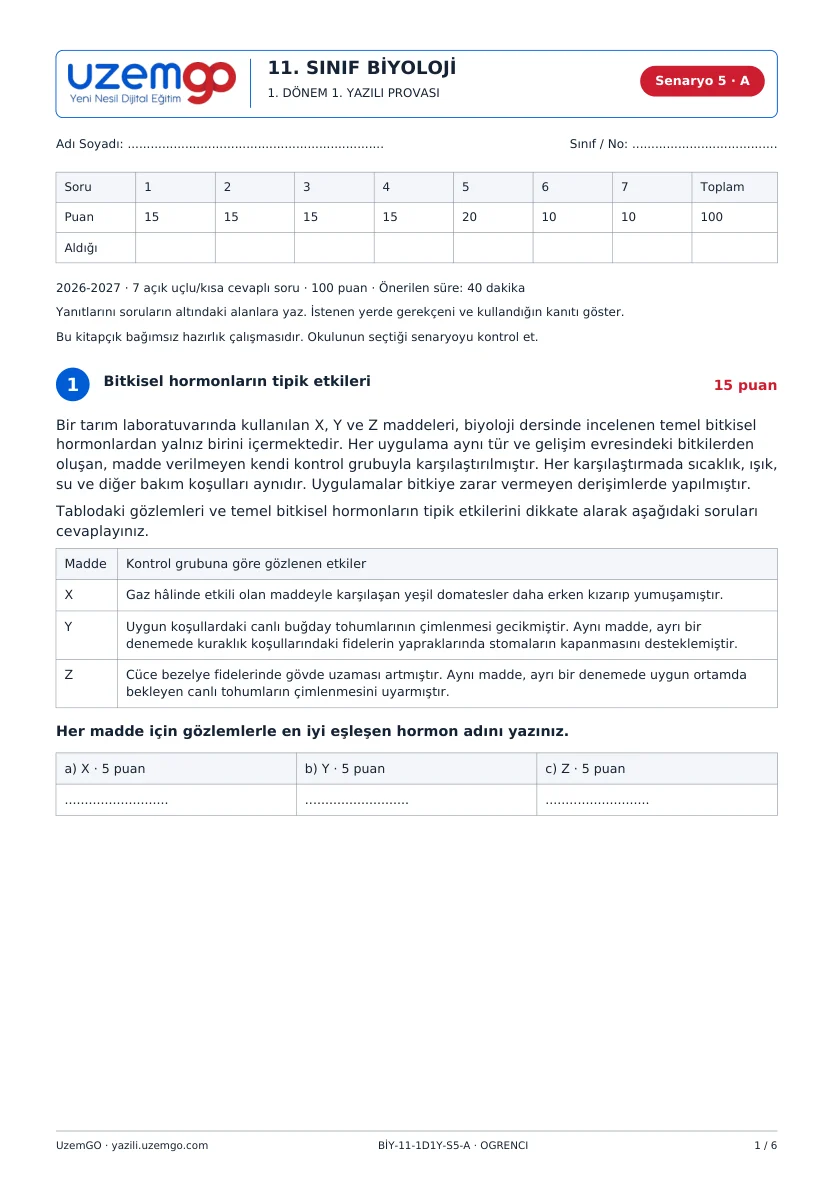 Senaryo 5 öğrenci kâğıdının ilk sayfası